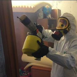 Уничтожение клопов в квартире. Волковская